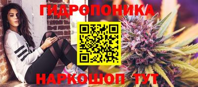 прущие грибы Донской