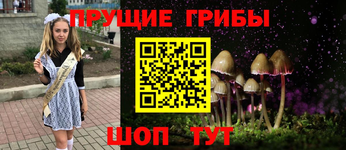 Галлюциногенные грибы Cubensis  Вход с VPN  Минусинск 
